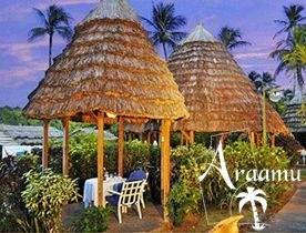 St. Vincent & Grenadine, Young Private Island****+