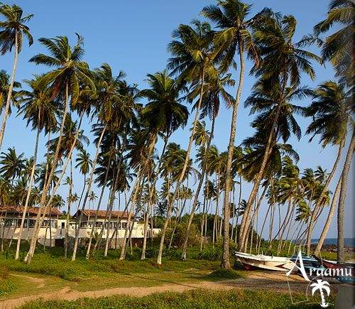 Sri Lanka, Amanwella*****+