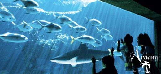 Bahamák, Atlantis Coral Towers****